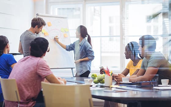 Morbi leo risus porta eget